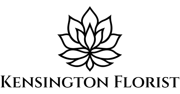jijjo